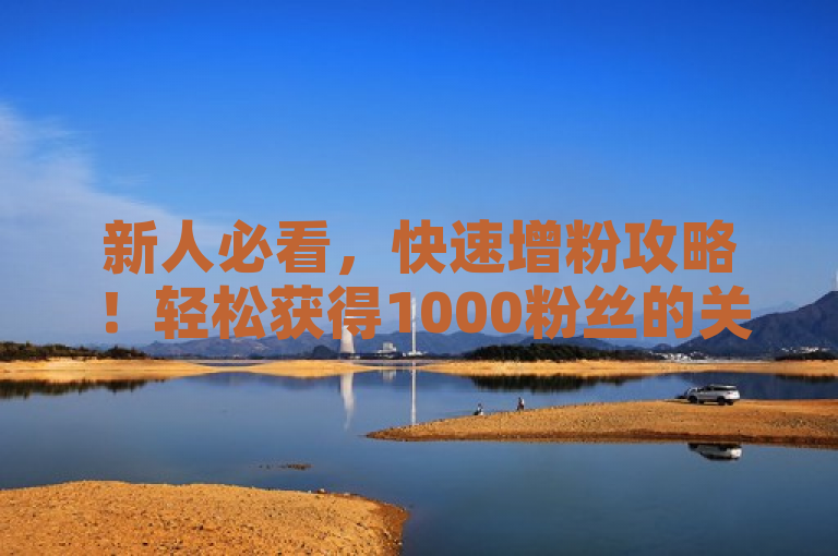 新人必看，快速增粉攻略！轻松获得1000粉丝的关键步骤