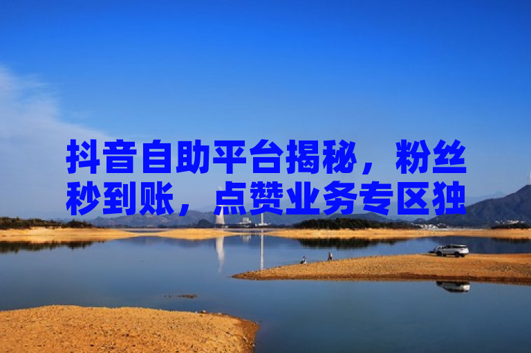 抖音自助平台揭秘，粉丝秒到账，点赞业务专区独家解析