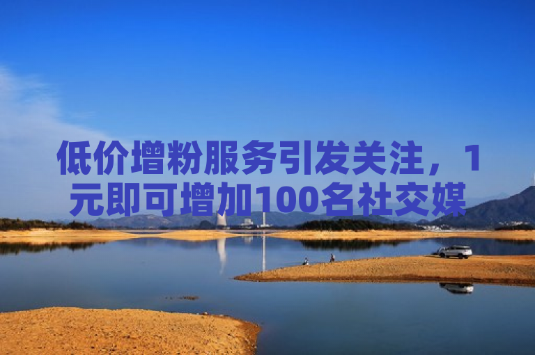 低价增粉服务引发关注，1元即可增加100名社交媒体粉丝