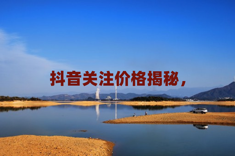 抖音关注价格揭秘，500粉丝需花费多少？