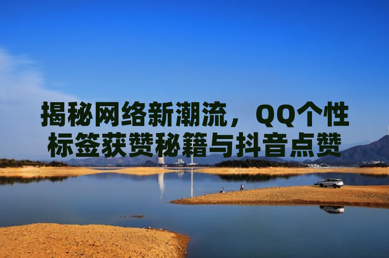 揭秘网络新潮流，QQ个性标签获赞秘籍与抖音点赞新策略，旨在吸引对社交媒体互动感兴趣的读者。通过结合QQ和抖音这两个流行的社交平台，标题提出了一个关于如何增加个性标签获赞以及抖音点赞新策略的话题，这可能会激发读者的好奇心和探索欲。