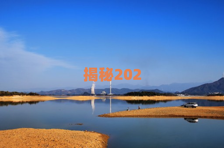 揭秘2025必学技巧，高效刷扣扣访客量，提升社交影响力！