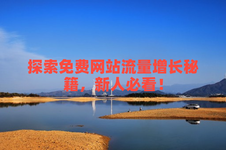 探索免费网站流量增长秘籍，新人必看！