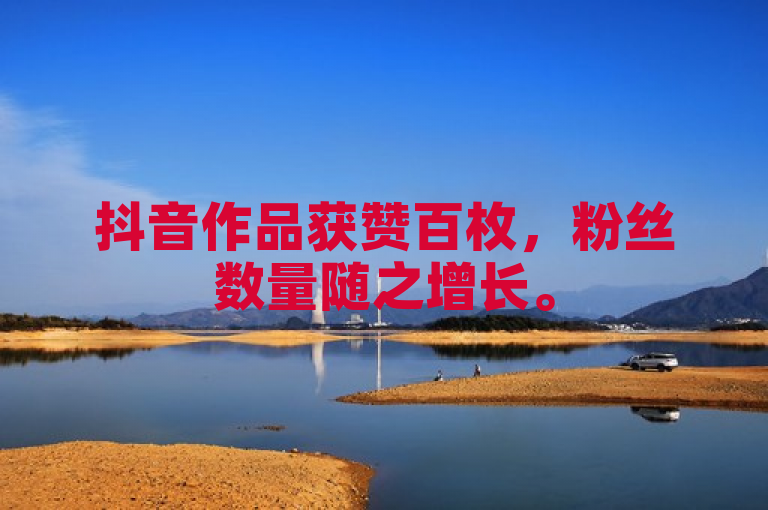 抖音作品获赞百枚，粉丝数量随之增长。