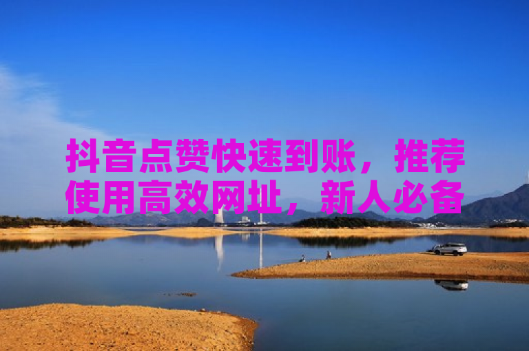 抖音点赞快速到账，推荐使用高效网址，新人必备神器！