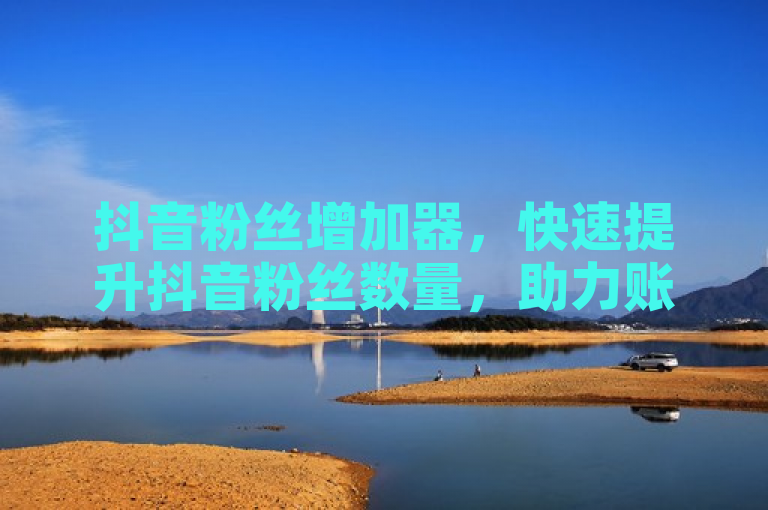 抖音粉丝增加器，快速提升抖音粉丝数量，助力账号成长。