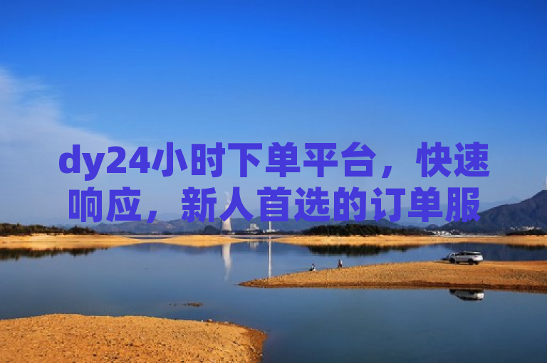 dy24小时下单平台，快速响应，新人首选的订单服务解决方案！