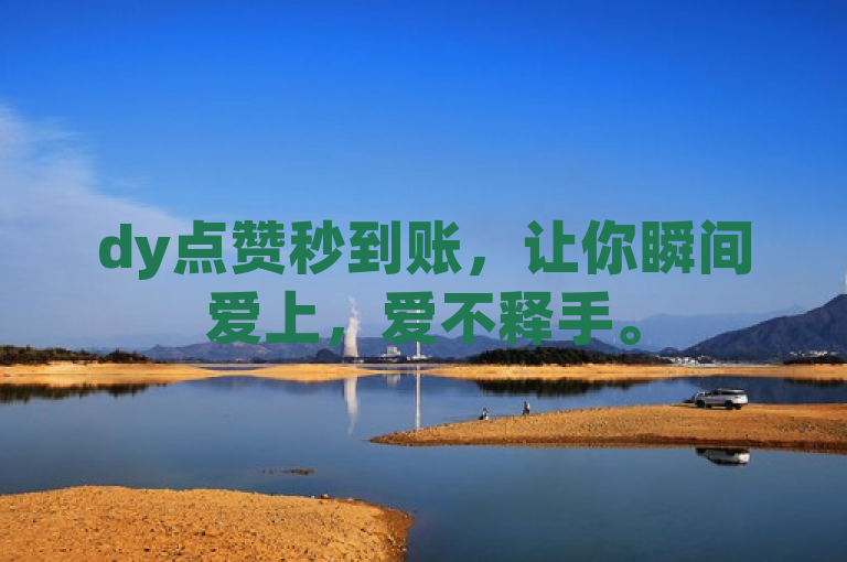 dy点赞秒到账，让你瞬间爱上，爱不释手。
