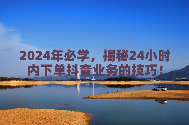 2024年必学，揭秘24小时内下单抖音业务的技巧！