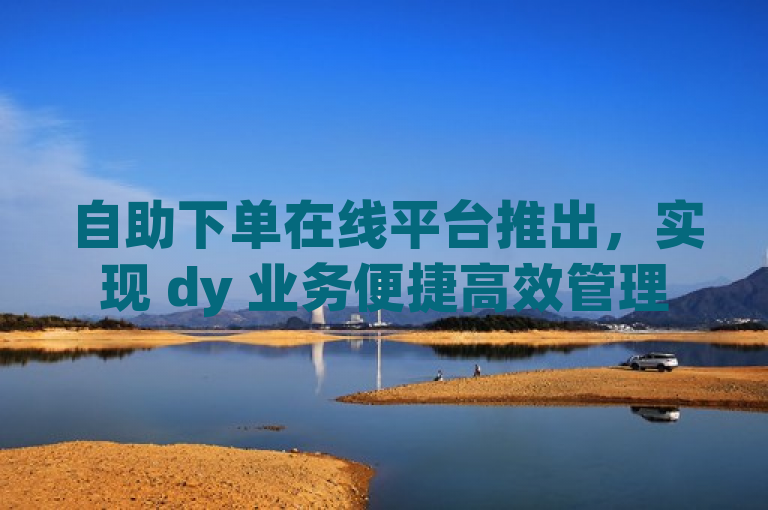 自助下单在线平台推出，实现 dy 业务便捷高效管理。