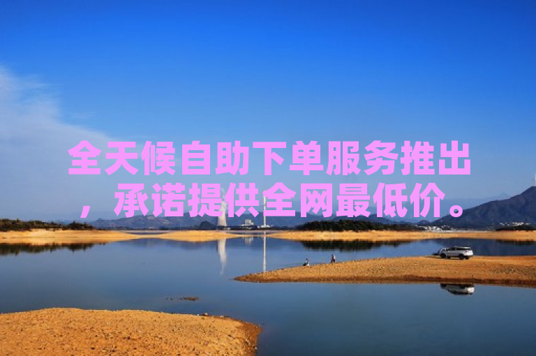 全天候自助下单服务推出，承诺提供全网最低价。