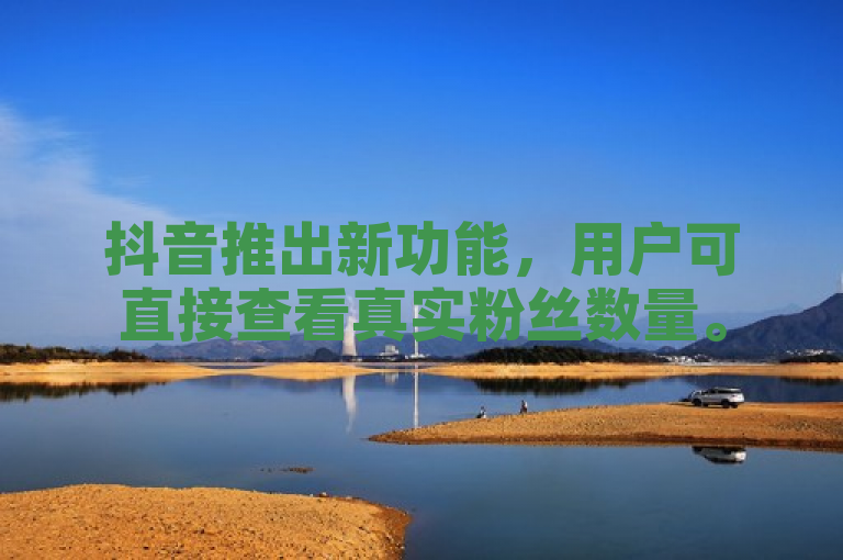 抖音推出新功能，用户可直接查看真实粉丝数量。