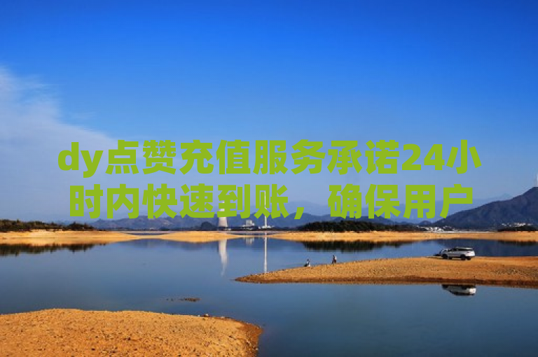 dy点赞充值服务承诺24小时内快速到账，确保用户便捷体验。