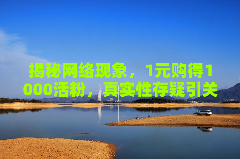 揭秘网络现象，1元购得1000活粉，真实性存疑引关注。