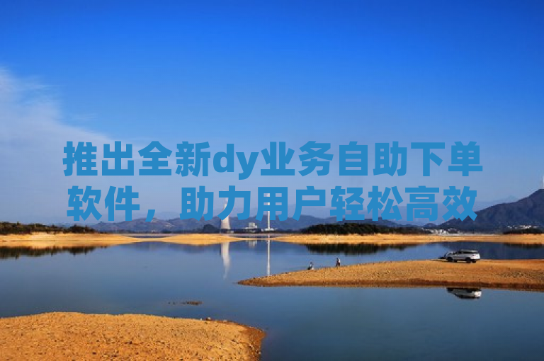 推出全新dy业务自助下单软件，助力用户轻松高效完成下单任务。