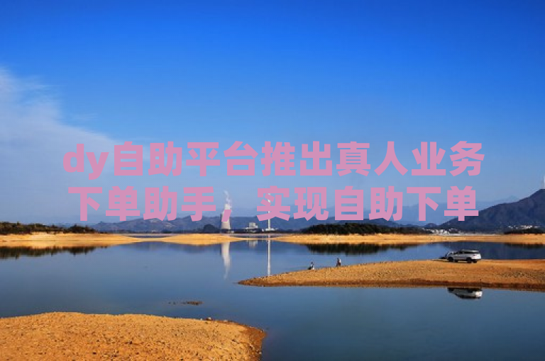 dy自助平台推出真人业务下单助手，实现自助下单服务。