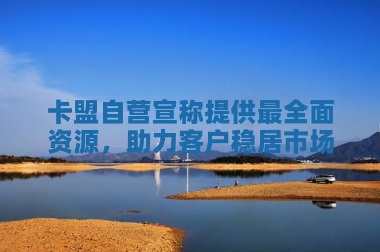 卡盟自营宣称提供最全面资源，助力客户稳居市场领导地位。