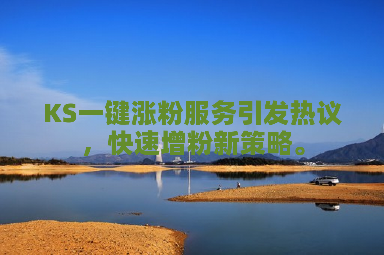 KS一键涨粉服务引发热议，快速增粉新策略。