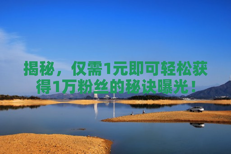揭秘，仅需1元即可轻松获得1万粉丝的秘诀曝光！