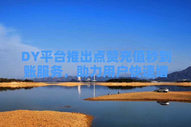 DY平台推出点赞充值秒到账服务，助力用户快速增赞。