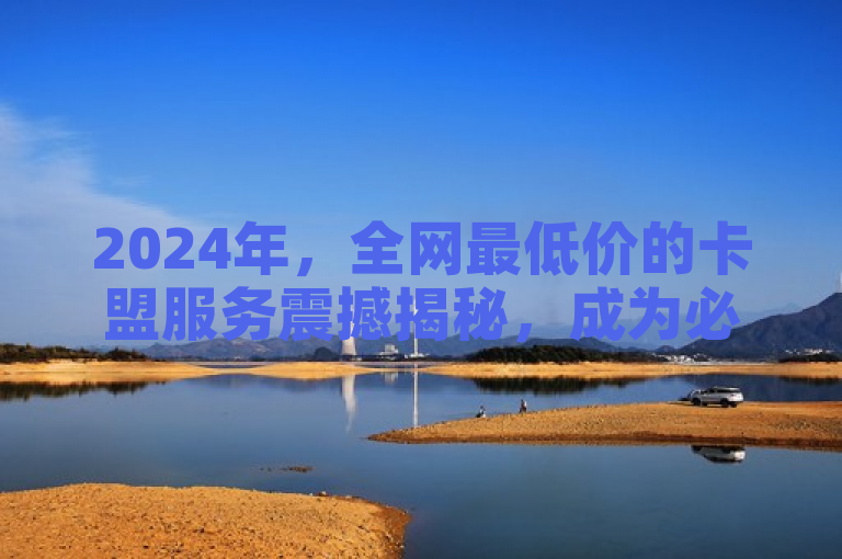 2024年，全网最低价的卡盟服务震撼揭秘，成为必学之选！