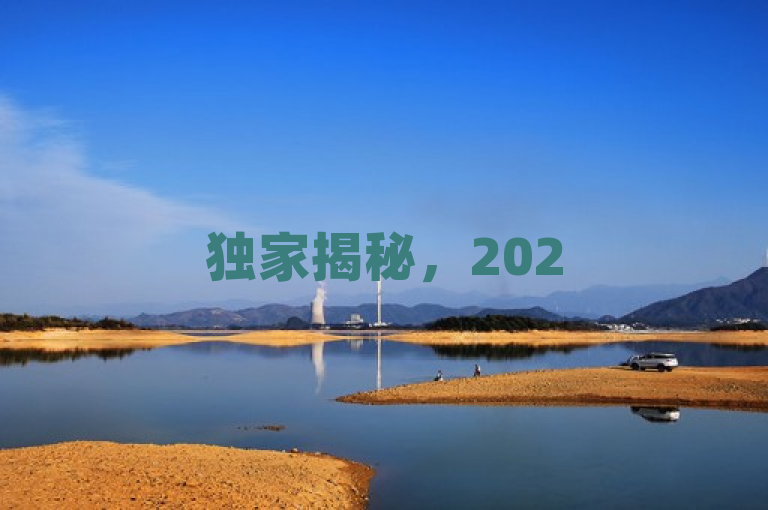 独家揭秘，2025必学，qq点赞服务低价实惠，魅力无限！
