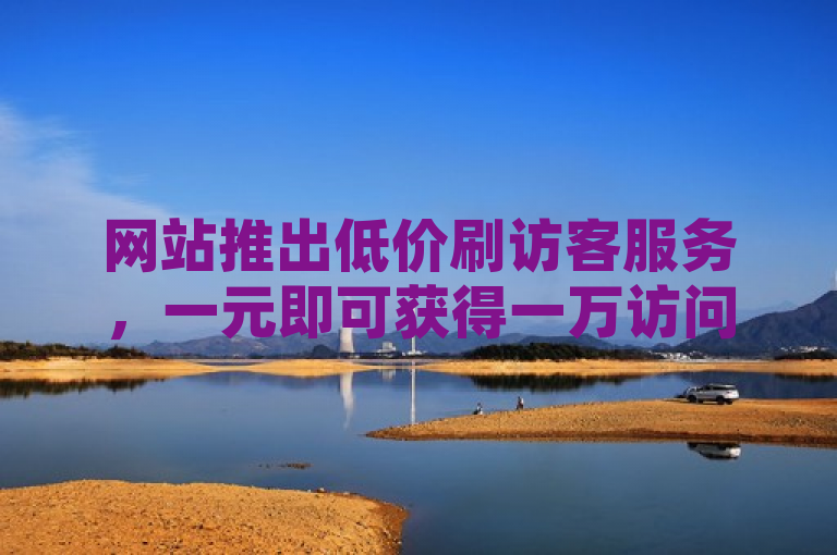 网站推出低价刷访客服务，一元即可获得一万访问量。