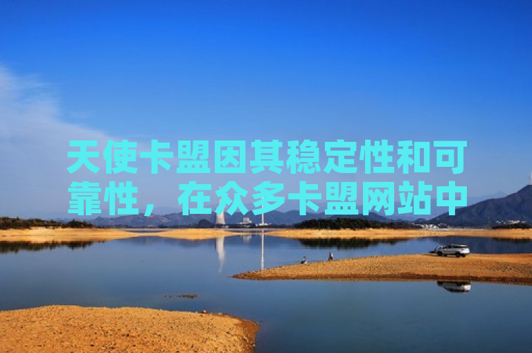 天使卡盟因其稳定性和可靠性，在众多卡盟网站中脱颖而出。