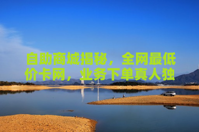 自助商城揭秘，全网最低价卡网，业务下单真人独家曝光。