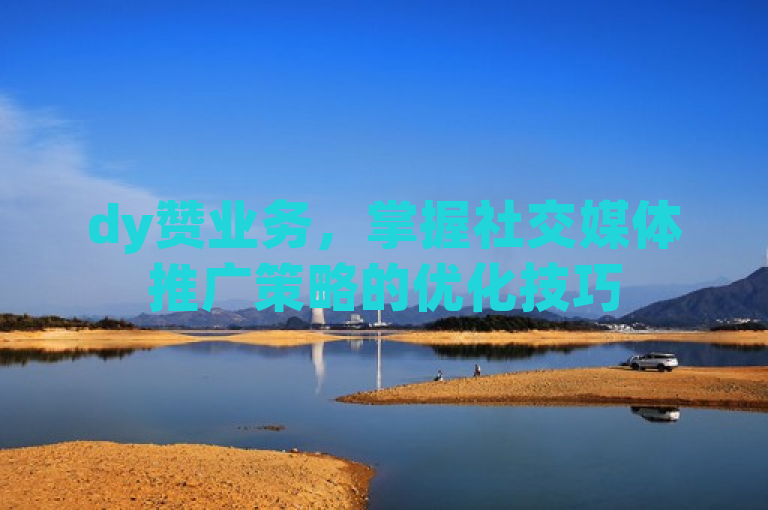 dy赞业务，掌握社交媒体推广策略的优化技巧
