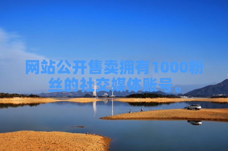 网站公开售卖拥有1000粉丝的社交媒体账号。