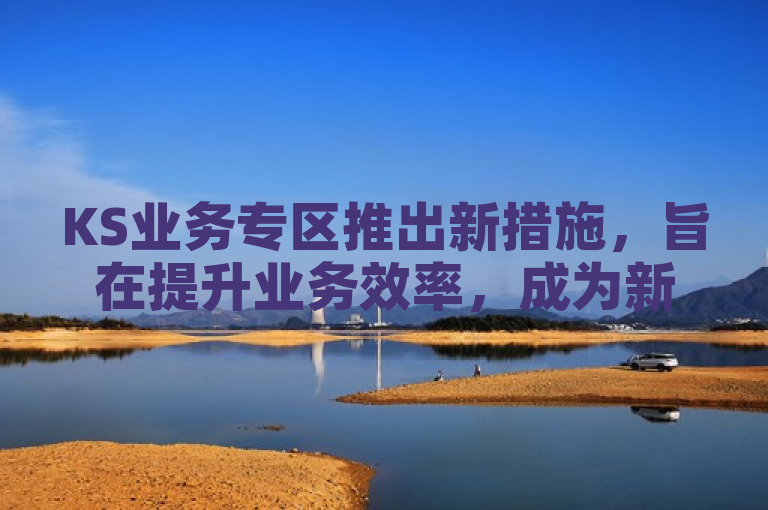 KS业务专区推出新措施，旨在提升业务效率，成为新人必备工具。