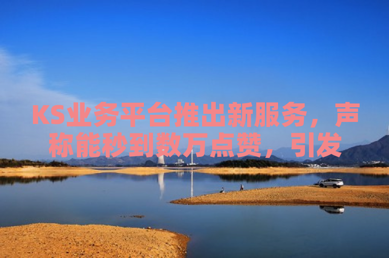 KS业务平台推出新服务，声称能秒到数万点赞，引发关注。