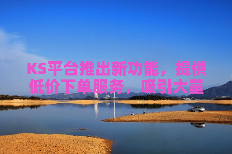 KS平台推出新功能，提供低价下单服务，吸引大量用户关注。