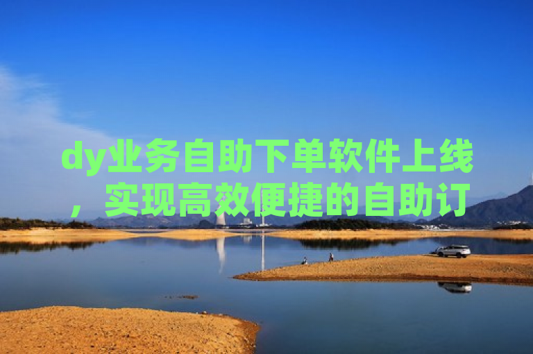 dy业务自助下单软件上线，实现高效便捷的自助订单处理。