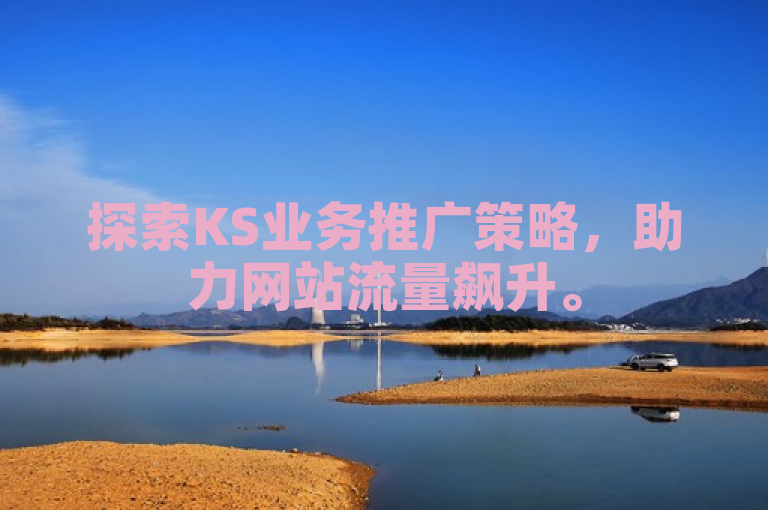 探索KS业务推广策略，助力网站流量飙升。
