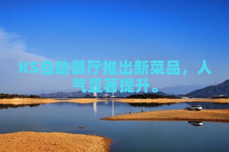 KS自助餐厅推出新菜品，人气显著提升。