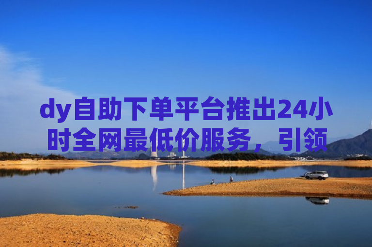 dy自助下单平台推出24小时全网最低价服务，引领行业新风尚。