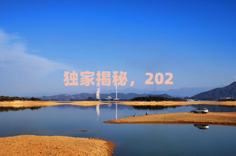独家揭秘，2025必学技巧，让王者主页人气飙升！