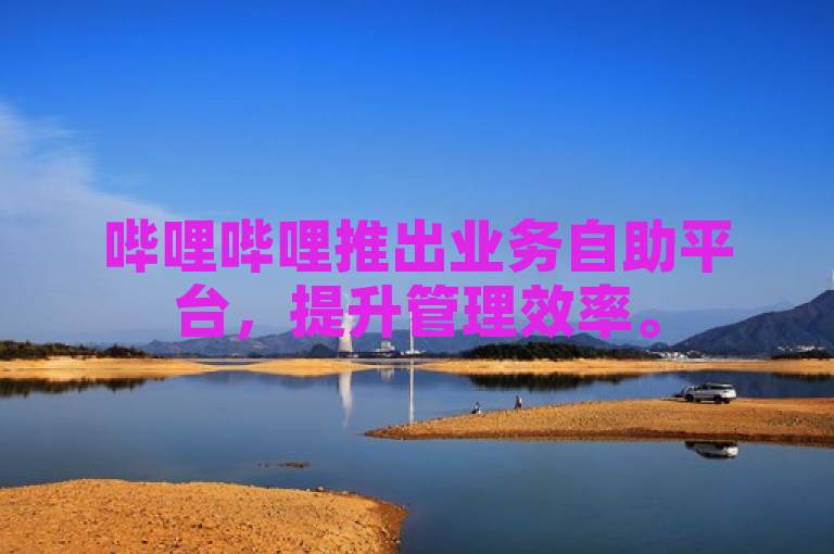 哔哩哔哩推出业务自助平台，提升管理效率。