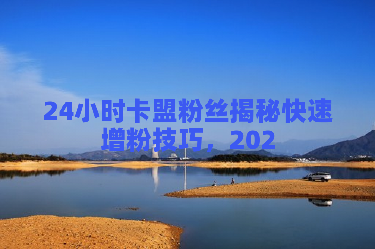 24小时卡盟粉丝揭秘快速增粉技巧，2025年必备技能！