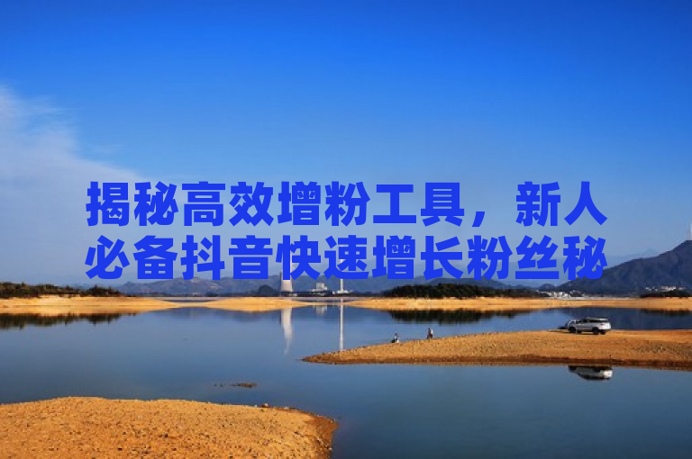 揭秘高效增粉工具，新人必备抖音快速增长粉丝秘籍！