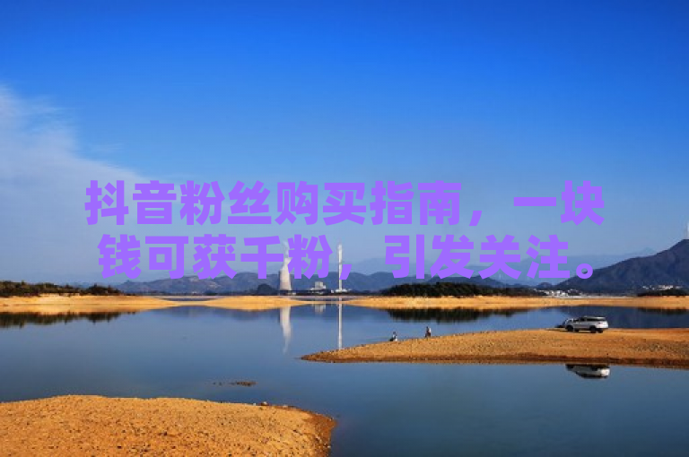 抖音粉丝购买指南，一块钱可获千粉，引发关注。