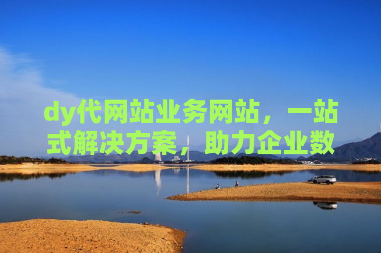 dy代网站业务网站，一站式解决方案，助力企业数字化转型。