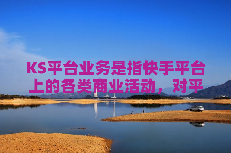KS平台业务是指快手平台上的各类商业活动，对平台发展和用户增长具有重要意义。