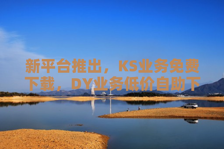 新平台推出，KS业务免费下载，DY业务低价自助下单，QQ空间业务全天候服务。