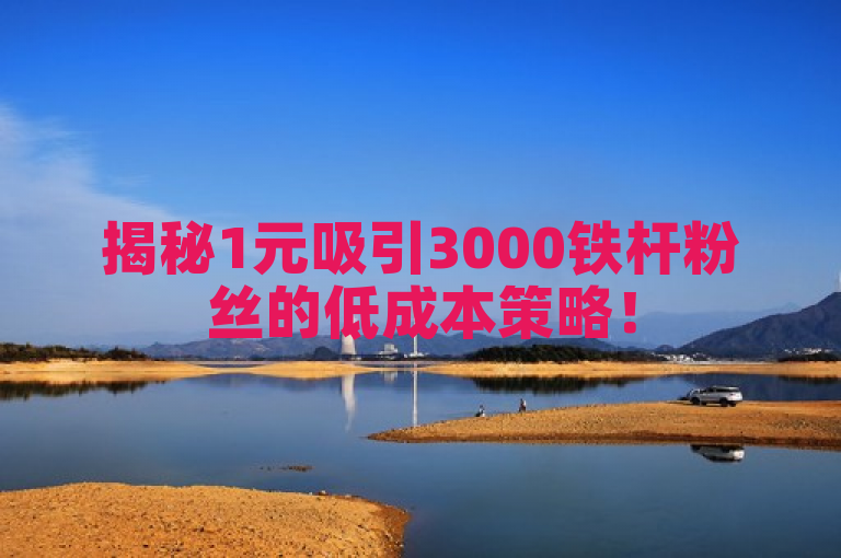 揭秘1元吸引3000铁杆粉丝的低成本策略！