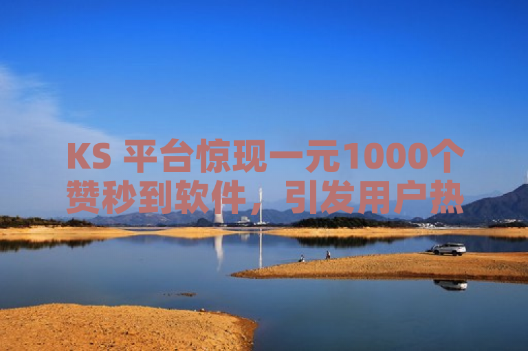 KS 平台惊现一元1000个赞秒到软件，引发用户热议。