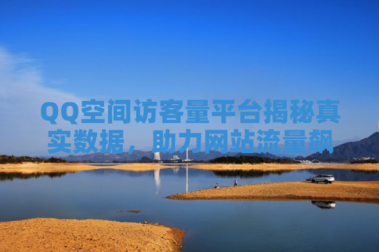 QQ空间访客量平台揭秘真实数据，助力网站流量飙升！