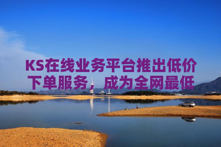 KS在线业务平台推出低价下单服务，成为全网最低价平台。